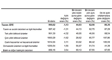 Tarım ürünleri üretici fiyat endeksi (Tarım-ÜFE) yıllık yüzde 62,56 arttı, aylık yüzde 1,13 azaldı
