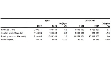 Tavuk eti üretimi 191 bin 454 ton, tavuk yumurtası üretimi 1,76 milyar adet olarak gerçekleşti