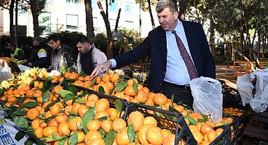 Depremzede çiftçilerin ürünleri Kadıköy Dayanışma Pazarı'nda