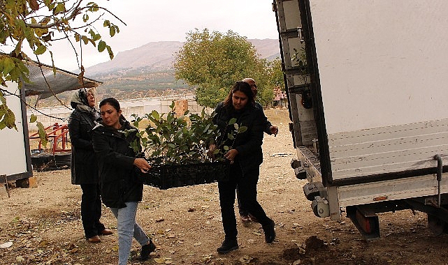 Elmalı’da 1300 aronya fidanı dağıtıldı