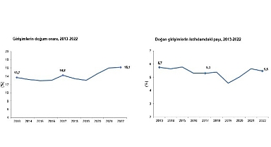 Girişimlerin 2022 yılında doğum oranı yüzde 16,1 oldu