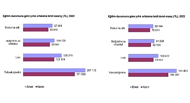 Kazanç Yapısı İstatistikleri, 2022