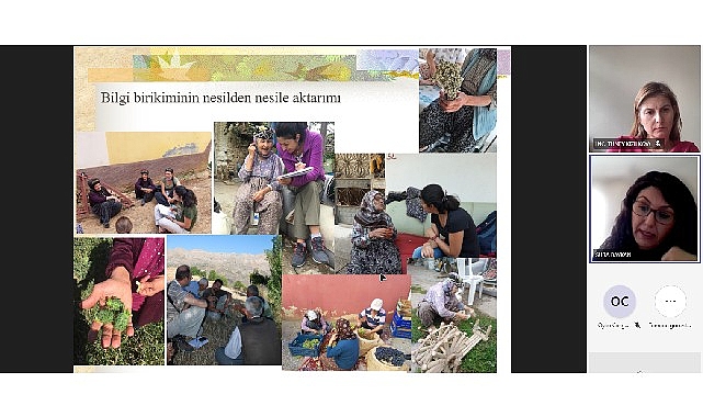 Prof. Dr. Öztürk “ Bitkisel tıbbi ürünlere ‘masum’ gözüyle bakılmamalı”