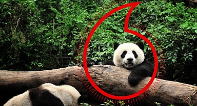 Vodafone ve WWF’ten “Gezegen İçin Bir Milyon Telefon” kampanyası