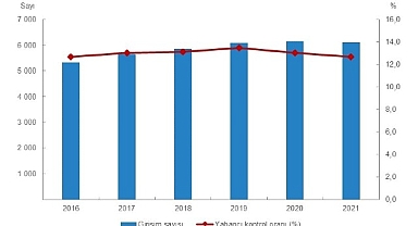 Yabancı Kontrollü Girişim İstatistikleri, 2021