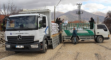 Antalya Büyükşehir Belediyesi'nin süt yemi desteği sürüyor