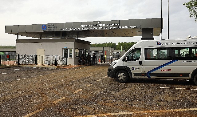 Büyükşehir’den can dostlara modern bakım ev hizmeti