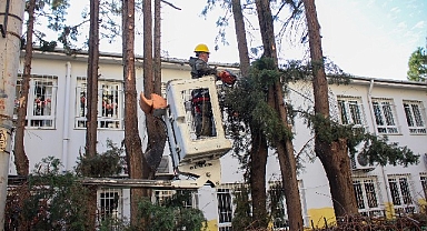 Karşıyaka’da çevre düzenleme çalışmaları hızla devam ediyor