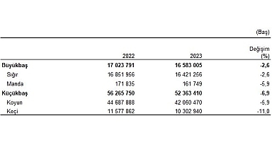 Büyükbaş hayvan sayısı bir önceki yıla göre yüzde 2,6 azalarak 16 milyon 583 bin baş oldu