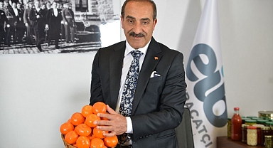 Narenciye ihracatında tarihi rekor... Narenciye ihracatı 1 milyar doları aştı