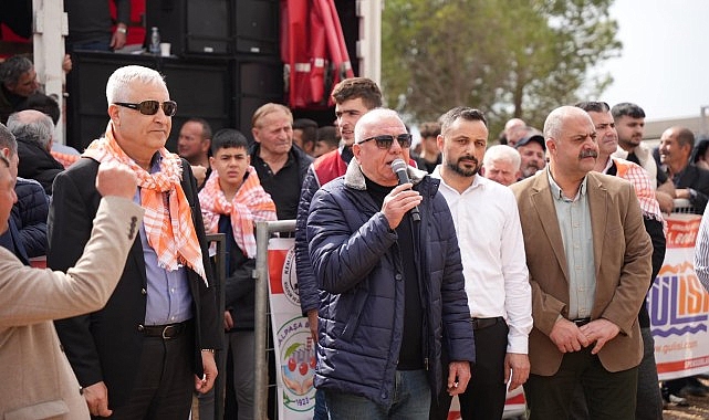 Kemalpaşa’da Boğa Güreşi Festivali
