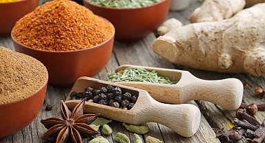 Almanya-Türkiye arasında dış ticaret hacmi 50 milyar dolara ulaştı