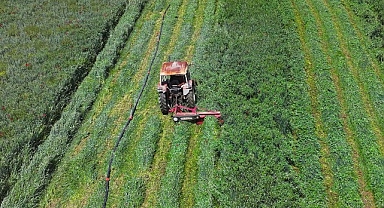 Konya Büyükşehir'in Macar Fiği Tohumu Desteği ile Ekilen Tarlalarda Hasat Yapıldı Başkan Altay: “Çiftçimize Verdiğimiz Desteklerle Millî Ekonomiye Katma Değer Sağlıyoruz”