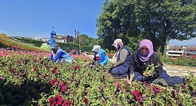 Osmangazi çiçek açıyor
