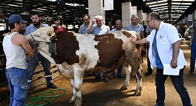 Osmangazi Kurban Bayramı'na hazır
