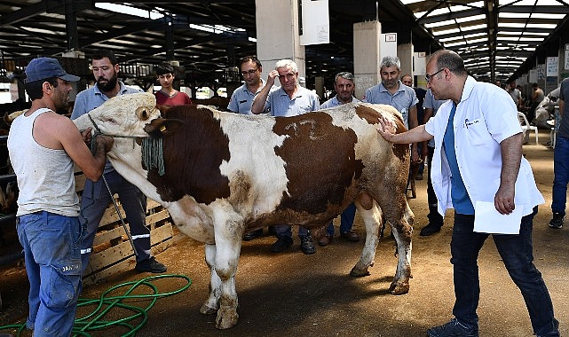 Osmangazi Kurban Bayramı'na hazır