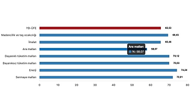 Tüik: Yurt Dışı Üretici Fiyat Endeksi (YD-ÜFE) yıllık %65,53 arttı, aylık %1,37 arttı