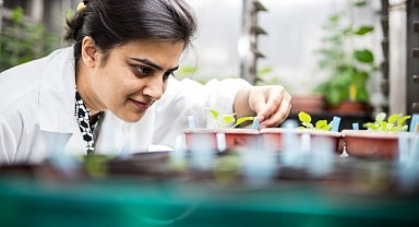 ‘Uluslararası Bilim Ortaklıkları Fonu'ndan yeni araştırma iş birlikleri için 80 bin Sterlin destek