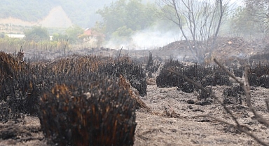 Antalya Aksu Çalkaya Mahallesi'nde Çıkan Yangın Kontrol Altına Alındı