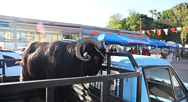 Antalya Büyükşehir Belediyesi 3 farklı noktada kesim hizmeti veriyor