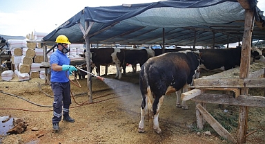 Antalya Büyükşehir Kurban Bayramı'na hazır 