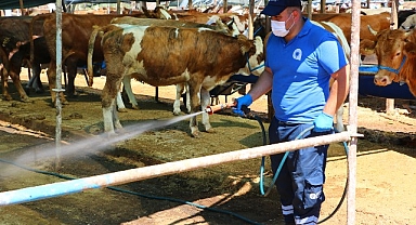 Antalya Büyükşehir Kurban Pazar Yerlerini İlaçlıyor