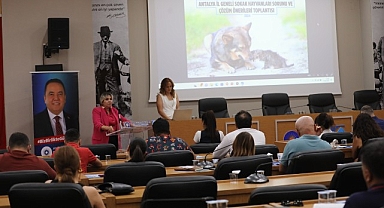 Antalya Büyükşehir sahipsiz hayvanlar için harekete geçti