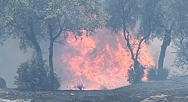 Aydın Büyükşehir Belediyesi İtfaiyesi, 48 saatte çıkan 81 yangına müdahale etti