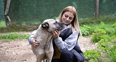 Başkan Aydın: “Hayvanlar uyutulmasın, sahiplendirilsin”