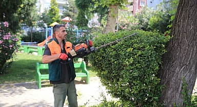 Başkan Mutlu tespit etti, ekipler sahaya indi
