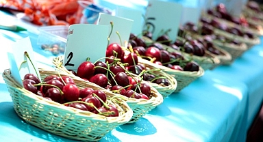 Bornova’da Kiraz Festivali heyecanı