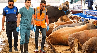 Buca’da kurban pazarlarında sıkı denetim