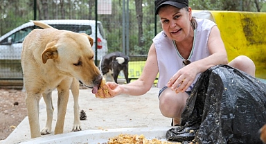 Buca'da sahipsiz can dostları için önemli iş birliği