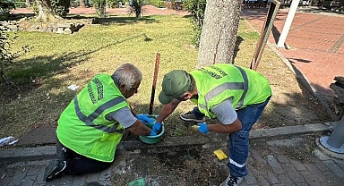 Burhaniye Belediyesi'nden Sokak Hayvanları İçin Özenli Bakım