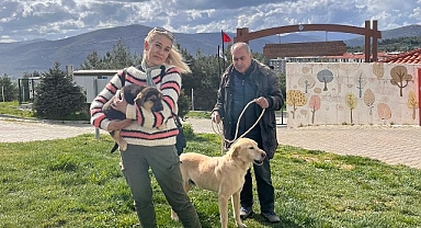 Büyükşehir 3202 Can Dostu Yeni Yuvalarına Kavuşturdu 