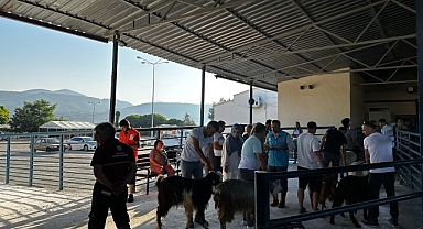 Büyükşehir Mezbahaları Kurban Bayramı’na Hazır 