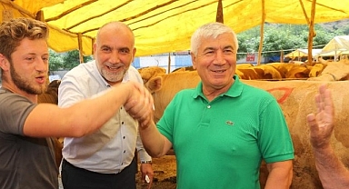 Canik’te Kurban Pazarı Açıldı: Veteriner Gözetiminde Satış 