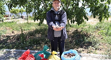 Çiftçinin cevizi çürümekten kurtuldu