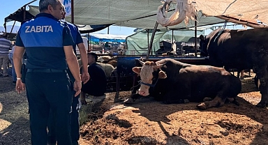 Çiğli Belediyesi Bayram Boyunca Denetimlerini Sürdürüyor