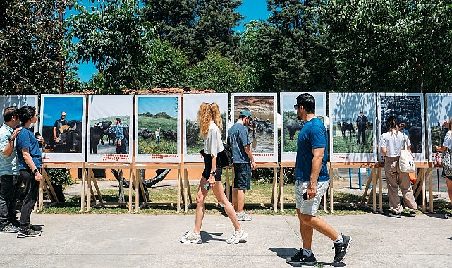 CLIMAVORE x Jameel at Royal College of Art, İstanbul'un Sulak Alanlarının Geleceği için Manda Festivali'ni Düzenledi