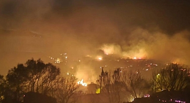 Dikili'de çıkan yangın kontrol altına alındı