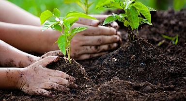 Dünya Çevre Günü’nde TEMA Vakfı’ndan Anlamlı Mesaj: 