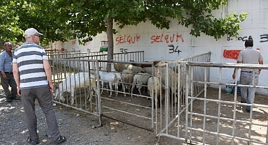 Edremit Belediyesi Kurban Bayramı’na hazır