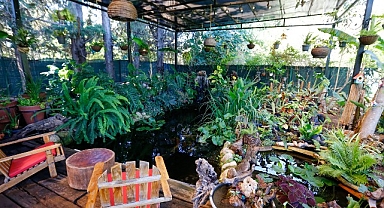  En güzel Bahçe, Balkon ve Teras yarışması sonuçlandı