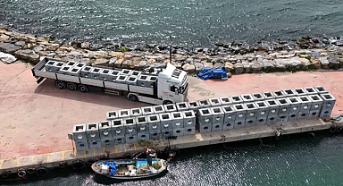 Eskihisar sahiline yapay resif bırakılacak