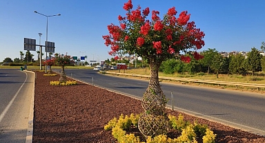 Güzelbahçe’nin ‘Oyaları’ Çiçek Açtı