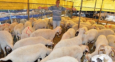 İzmir Büyükşehir Belediyesi Kavurmalar ihtiyaç sahiplerinin sofrasına ulaştırılacak