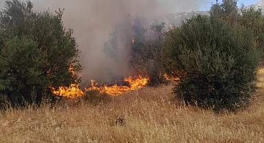 İzmir İtfaiyesi teyakkuzda