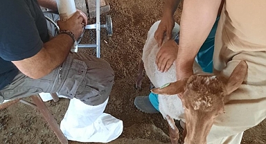 İzmirli üreticiye bir destek daha