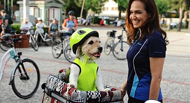 Karşıyaka’nın can dostlar için yol haritası hazır